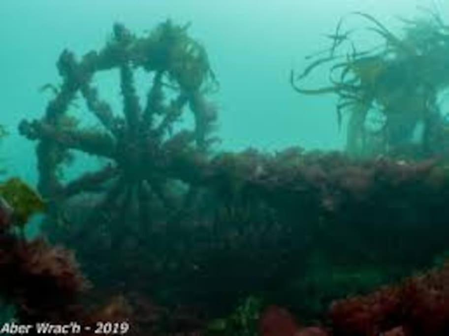 Gite Entre Mer Et Abers Landéda Εξωτερικό φωτογραφία