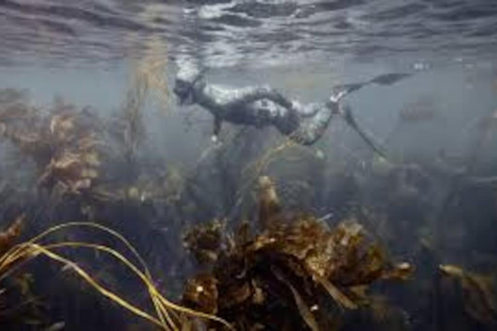 Gite Entre Mer Et Abers Landéda Εξωτερικό φωτογραφία