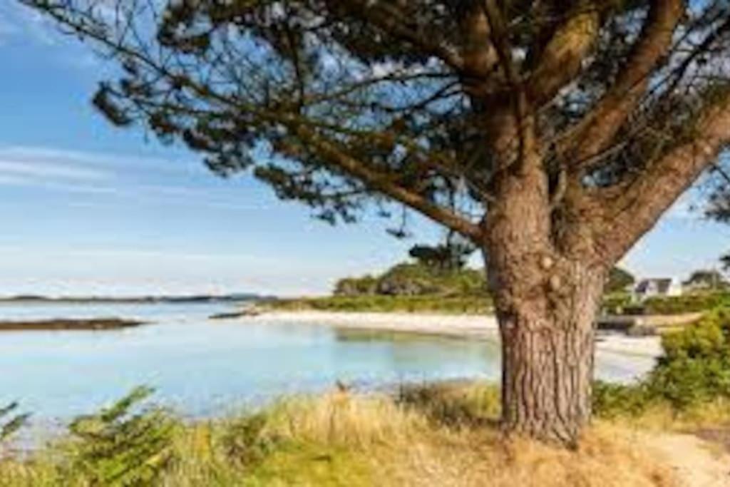 Gite Entre Mer Et Abers Landéda Εξωτερικό φωτογραφία