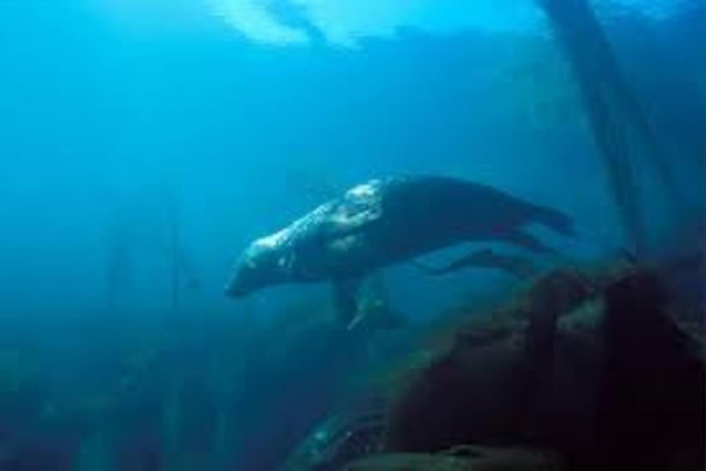 Gite Entre Mer Et Abers Landéda Εξωτερικό φωτογραφία